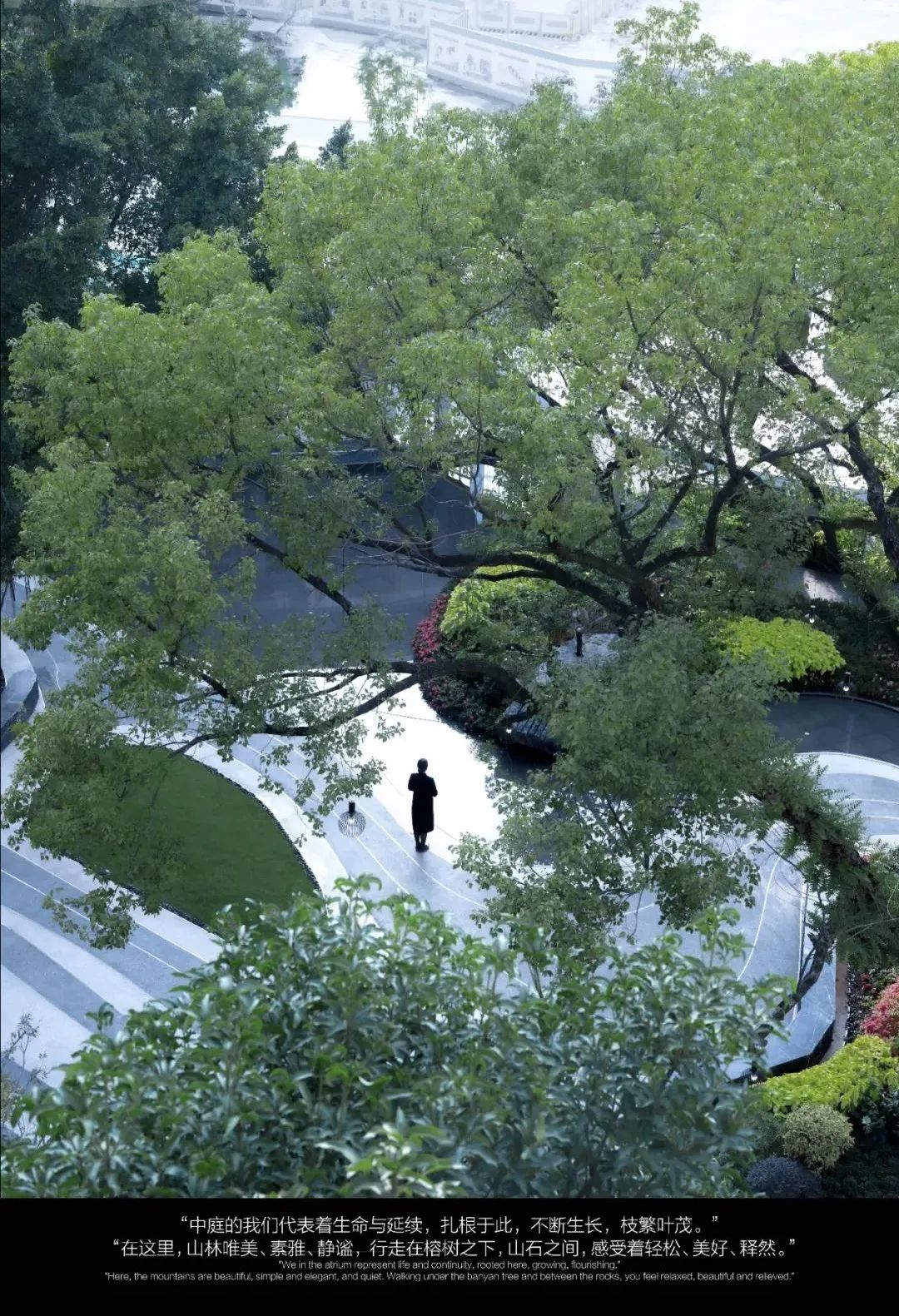 从多个景观设计案例看如何以场地原生大树创作场景