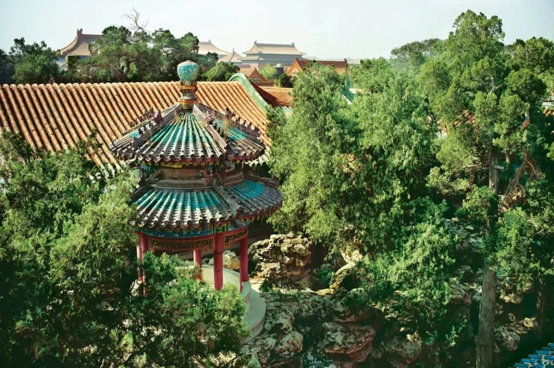 活动综述丨故宫宁寿宫花园保护项目实习生启动仪式