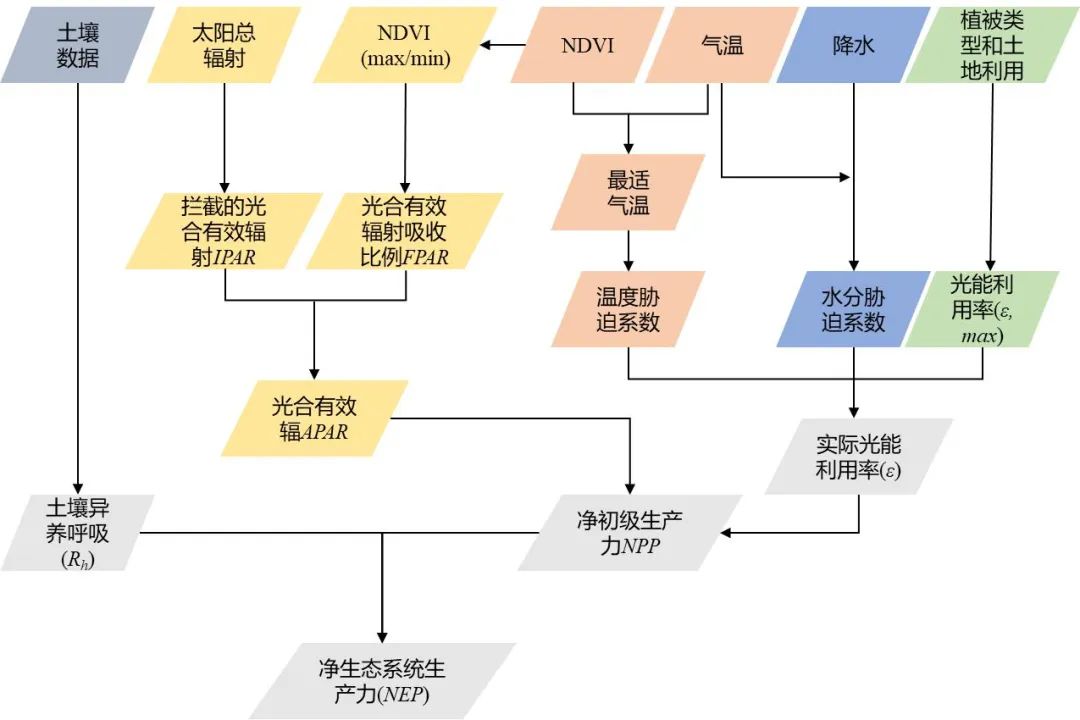 从历史遥感数据看广东省20年碳汇时空变化 | 每月数说 从历史遥感数据看广东省20年碳汇时空变化 | 每月数说