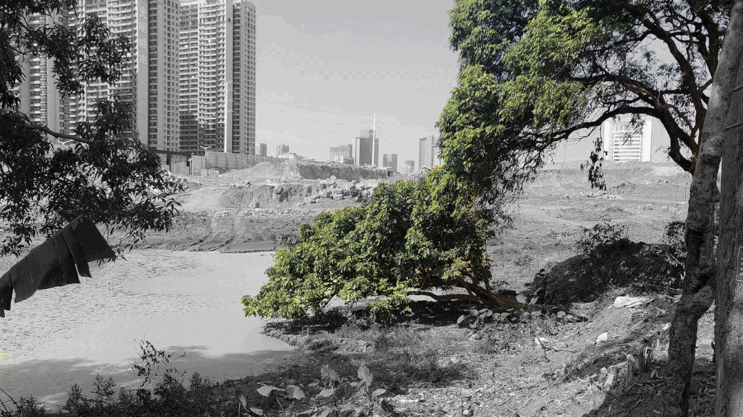 从多个景观设计案例看如何以场地原生大树创作场景 从多个景观设计案例看如何以场地原生大树创作场景