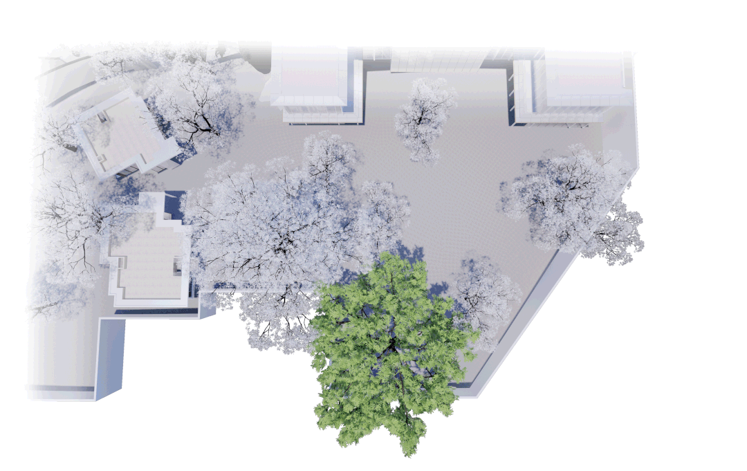 从多个景观设计案例看如何以场地原生大树创作场景 从多个景观设计案例看如何以场地原生大树创作场景