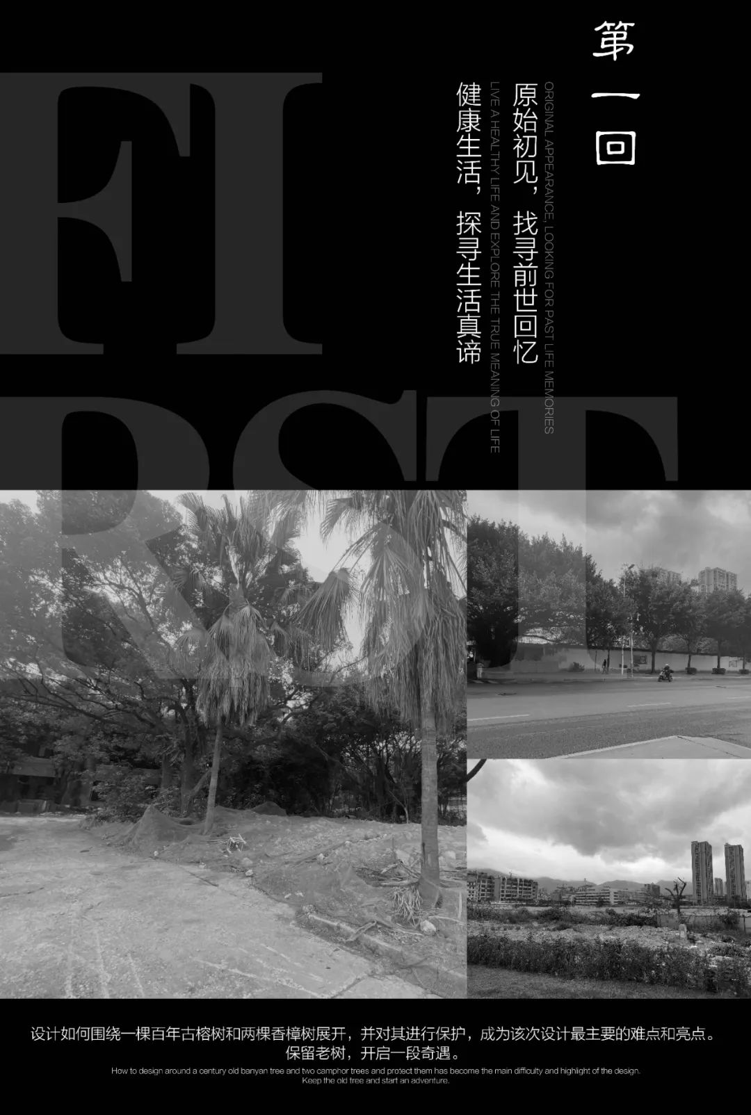从多个景观设计案例看如何以场地原生大树创作场景