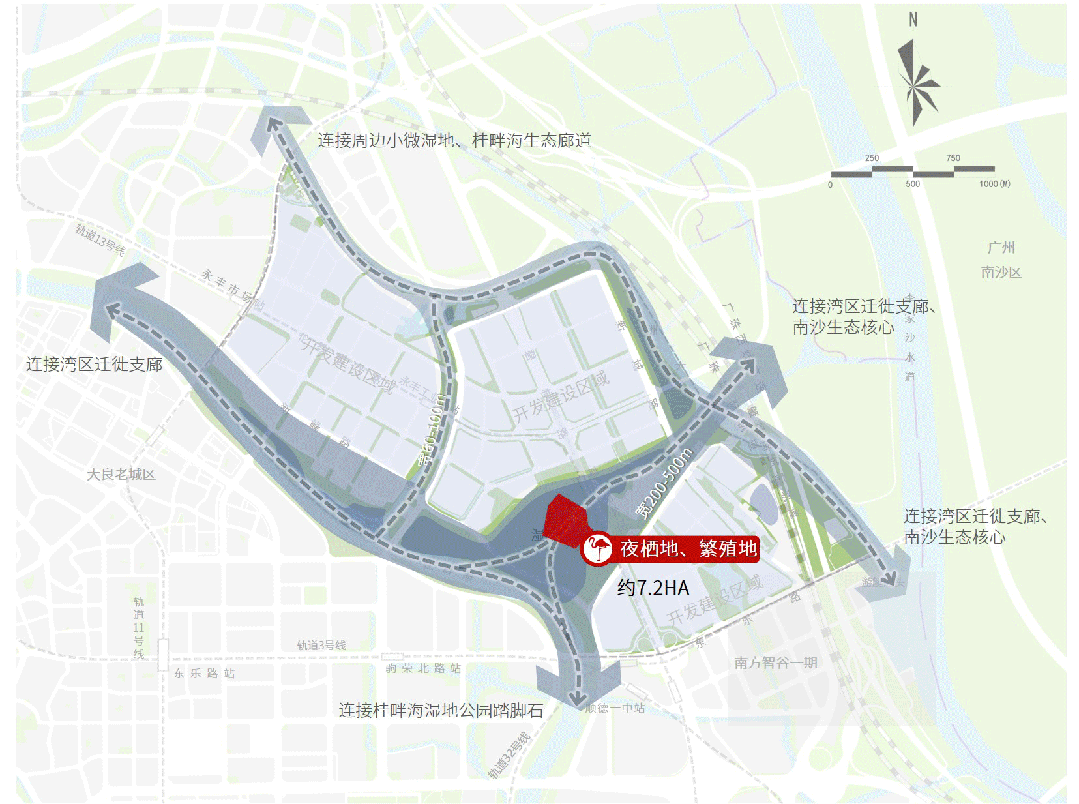 顺德云鹭:人与自然和谐共生的湾区典范 顺德云鹭:人与自然和谐共生的湾区典范