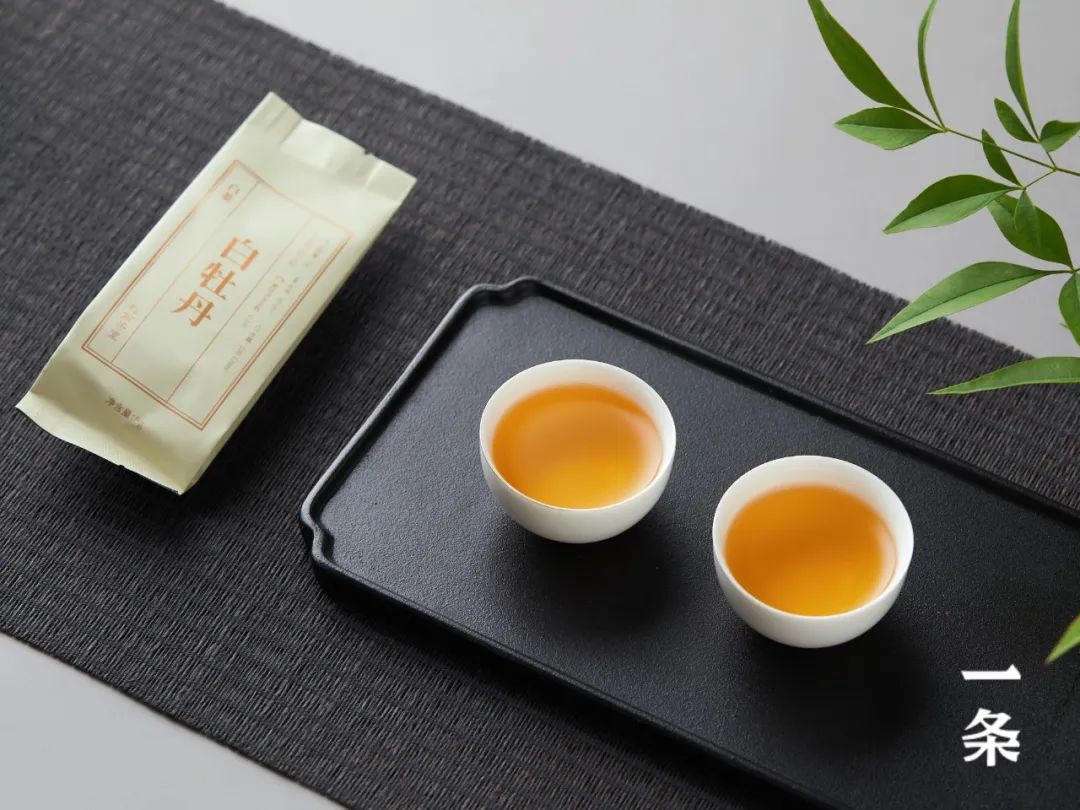 七盏茶礼，三大茶区核心产地经典茗茶，盲盒设计，一日一味
