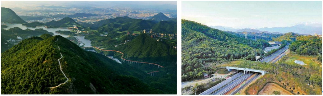 高密度超大城市的魅力生态公共空间营造——以深圳“山海连城计划”为例