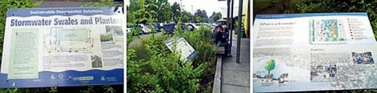 利用绿色街道推进我国海绵城市建设——美国绿色街道建设的经验启示 利用绿色街道推进我国海绵城市建设——美国绿色街道建设的经验启示