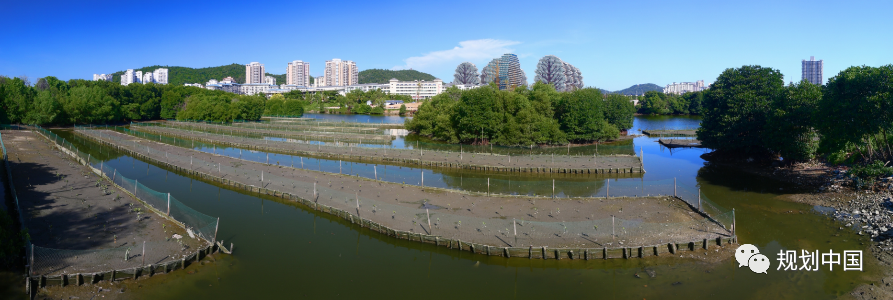“流体磁场”——城市滨水空间更新设计探索