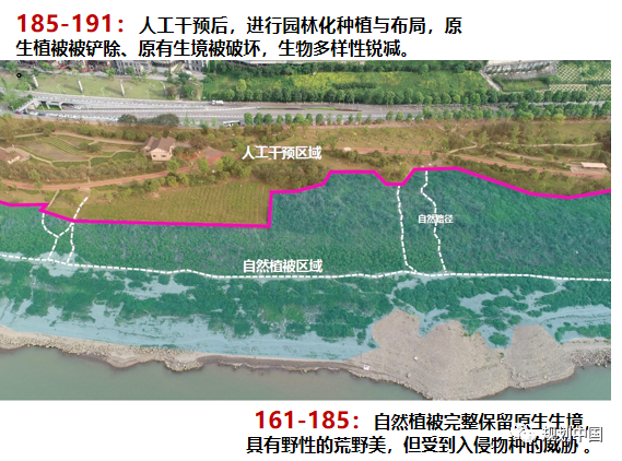 “流体磁场”——城市滨水空间更新设计探索