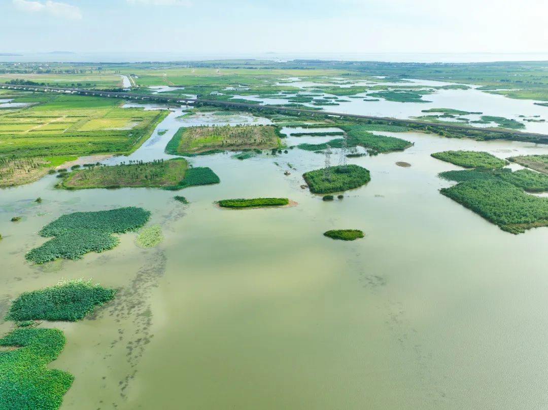 安徽:江淮大地的知与行 | 全国生态日特别策划 安徽:江淮大地的知与行 | 全国生态日特别策划