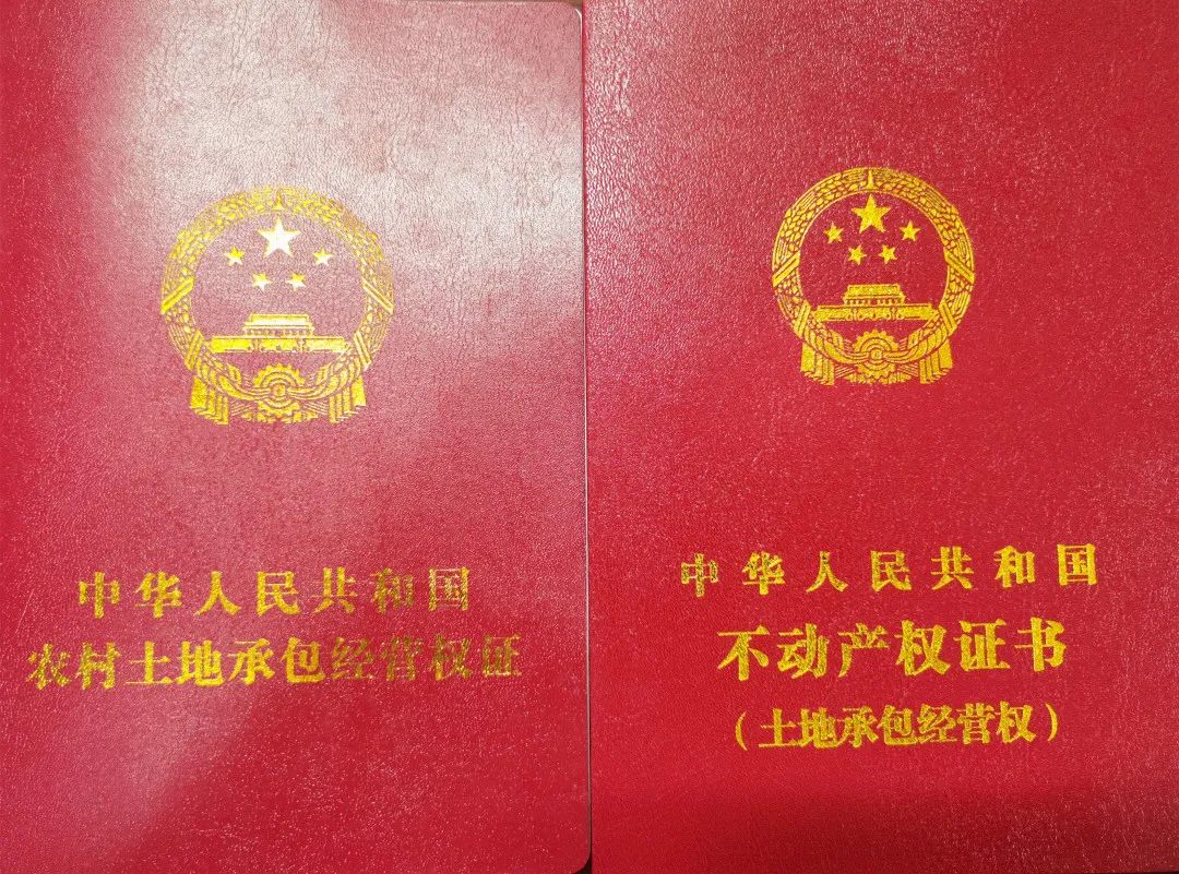 杭州首发！全市首本土地承包经营权不动产权证书在淳安颁发