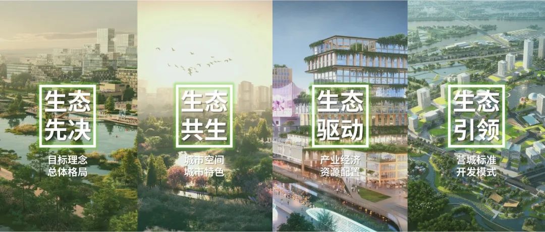 顺德云鹭:人与自然和谐共生的湾区典范 顺德云鹭:人与自然和谐共生的湾区典范