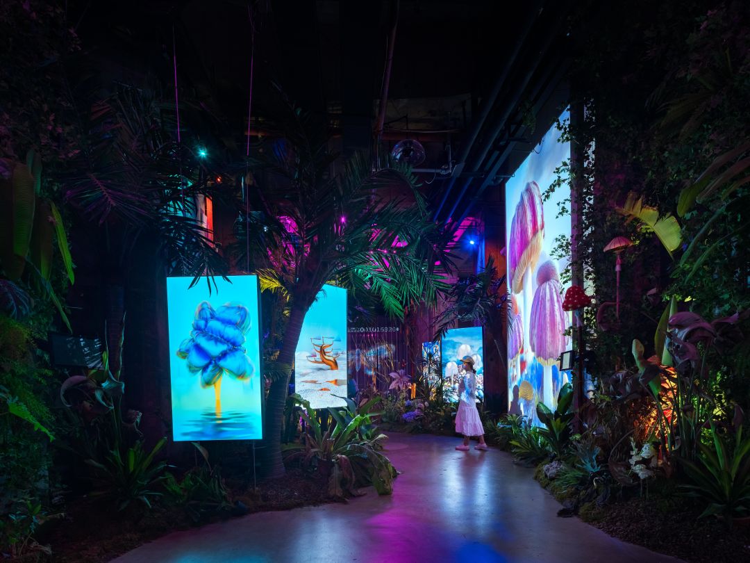 深圳City Walk · 与城市共生 深圳City Walk · 与城市共生