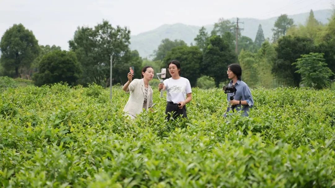 我眼中的余村绿 我眼中的余村绿
