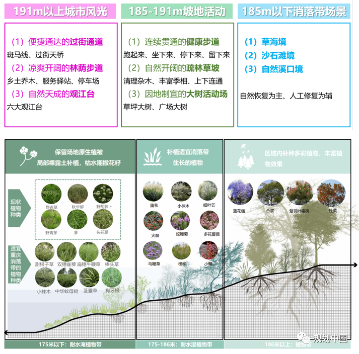 “流体磁场”——城市滨水空间更新设计探索