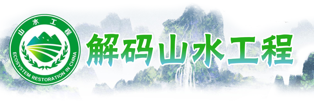 安徽：江淮大地的知与行 | 全国生态日特别策划