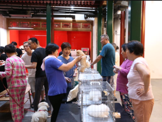 百年老房变身城市文化新地标,在西打磨厂街体验“最北京”的氛围空间 百年老房变身城市文化新地标,在西打磨厂街体验“最北京”的氛围空间