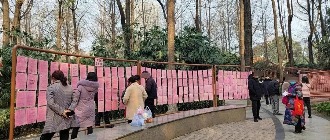 高密度超大城市的魅力生态公共空间营造——以深圳“山海连城计划”为例 高密度超大城市的魅力生态公共空间营造——以深圳“山海连城计划”为例
