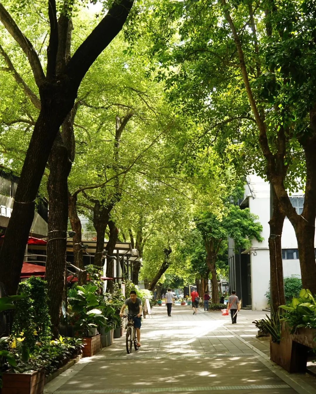 深圳City Walk · 与城市共生