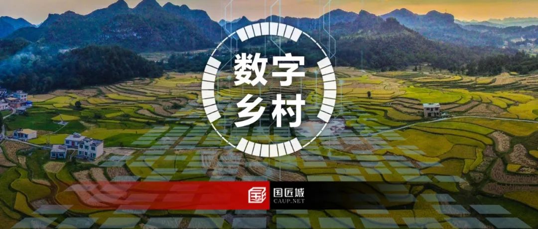 数字乡村:数字乡村最佳实践案例与国家数字乡村试点建设项目 数字乡村:数字乡村最佳实践案例与国家数字乡村试点建设项目