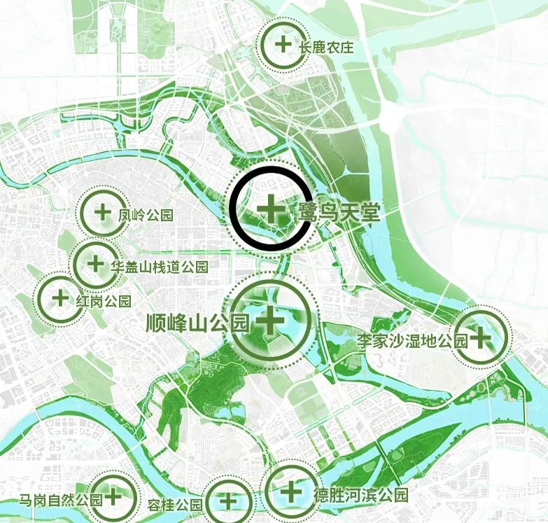 顺德云鹭:人与自然和谐共生的湾区典范 顺德云鹭:人与自然和谐共生的湾区典范