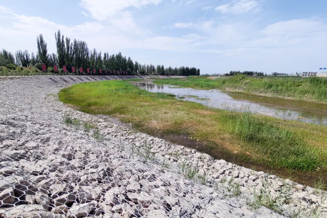 新疆阿克苏流域山水工程:筑牢防风固沙“绿色长城” 新疆阿克苏流域山水工程:筑牢防风固沙“绿色长城”