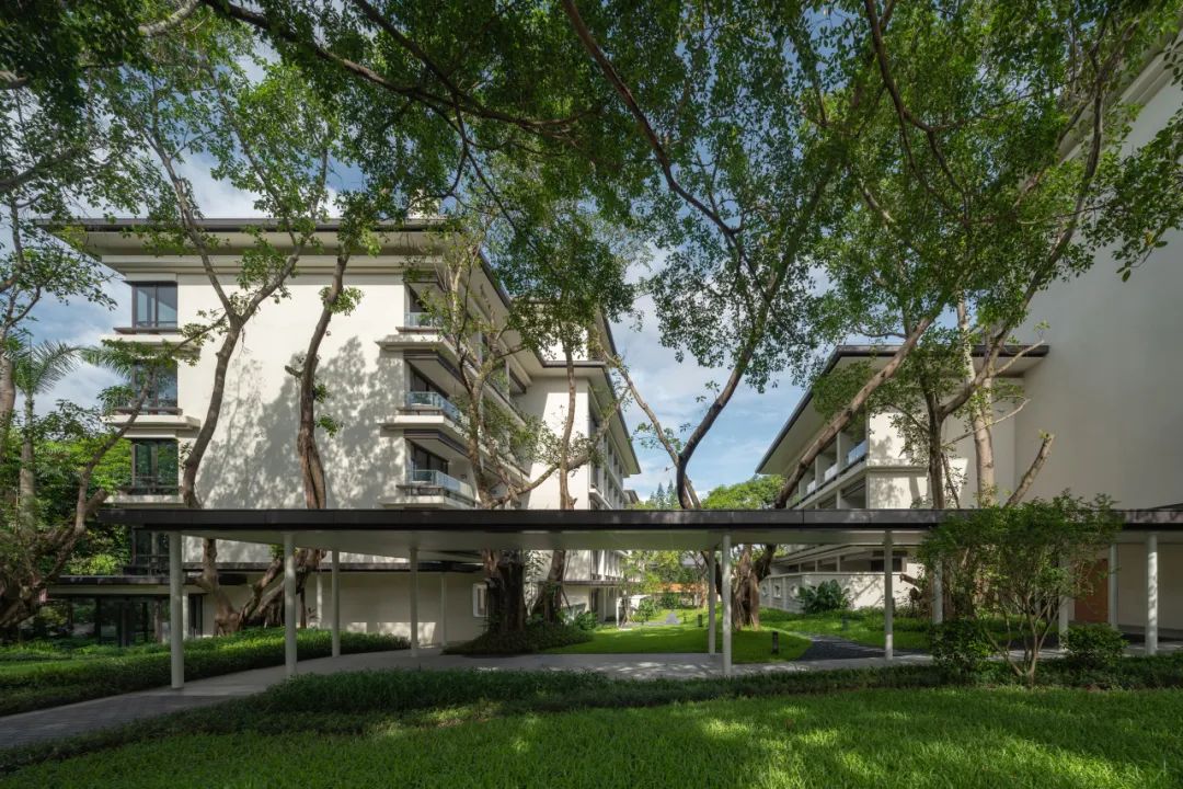 致敬 · 传承——岭南经典园林建筑“中山温泉中心园”改建工程｜作品