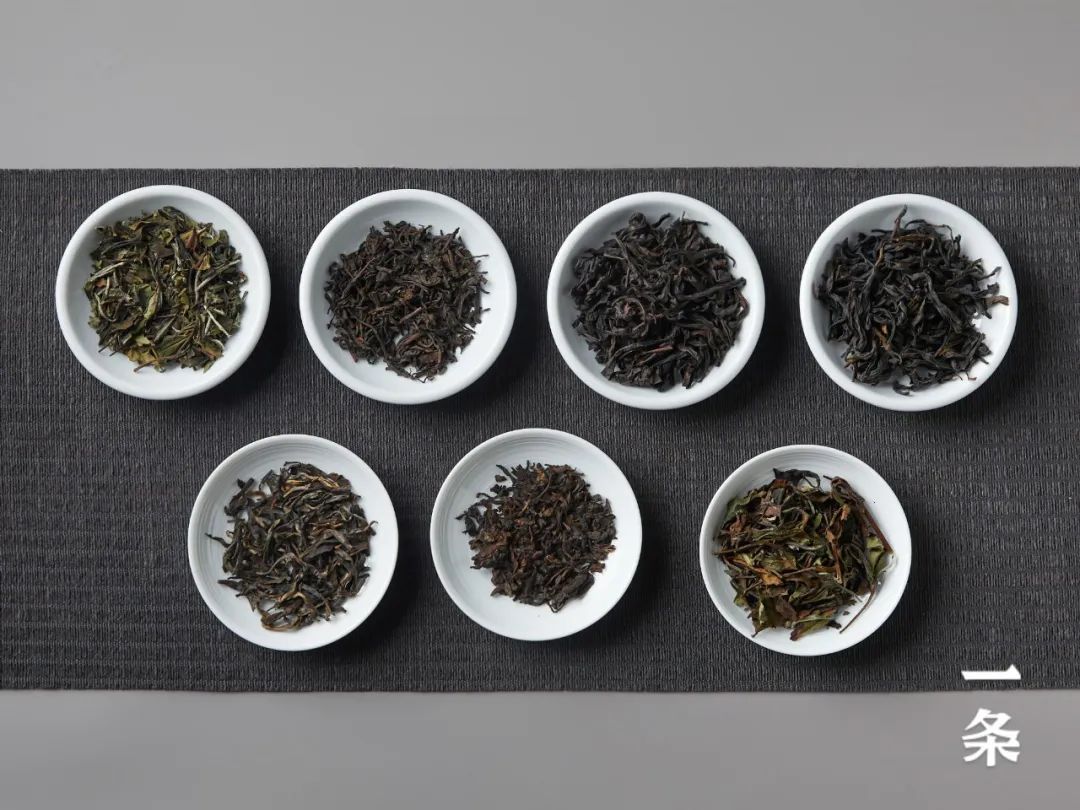七盏茶礼，三大茶区核心产地经典茗茶，盲盒设计，一日一味