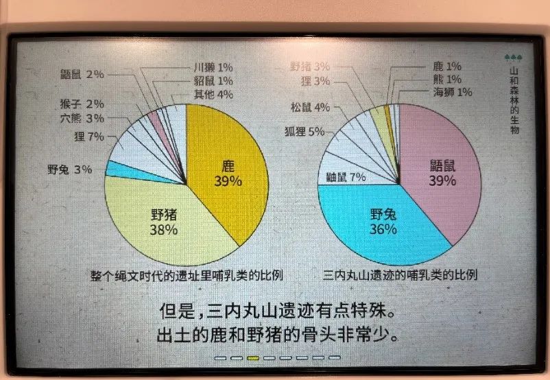 遗产撷英 | 世界遗产日本北部的绳纹史前遗址群——三内丸山与小牧野遗址巡礼