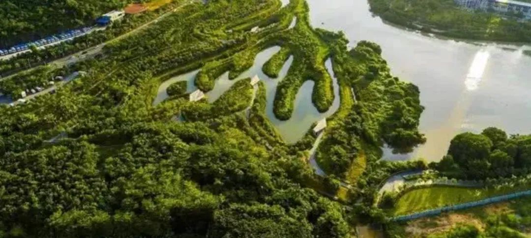 利用绿色街道推进我国海绵城市建设——美国绿色街道建设的经验启示