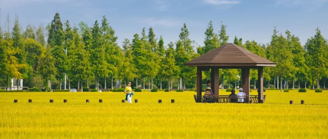 国家自然资源部同意农业农村部可用10%的建设用地发展乡村振兴产业计划指标！