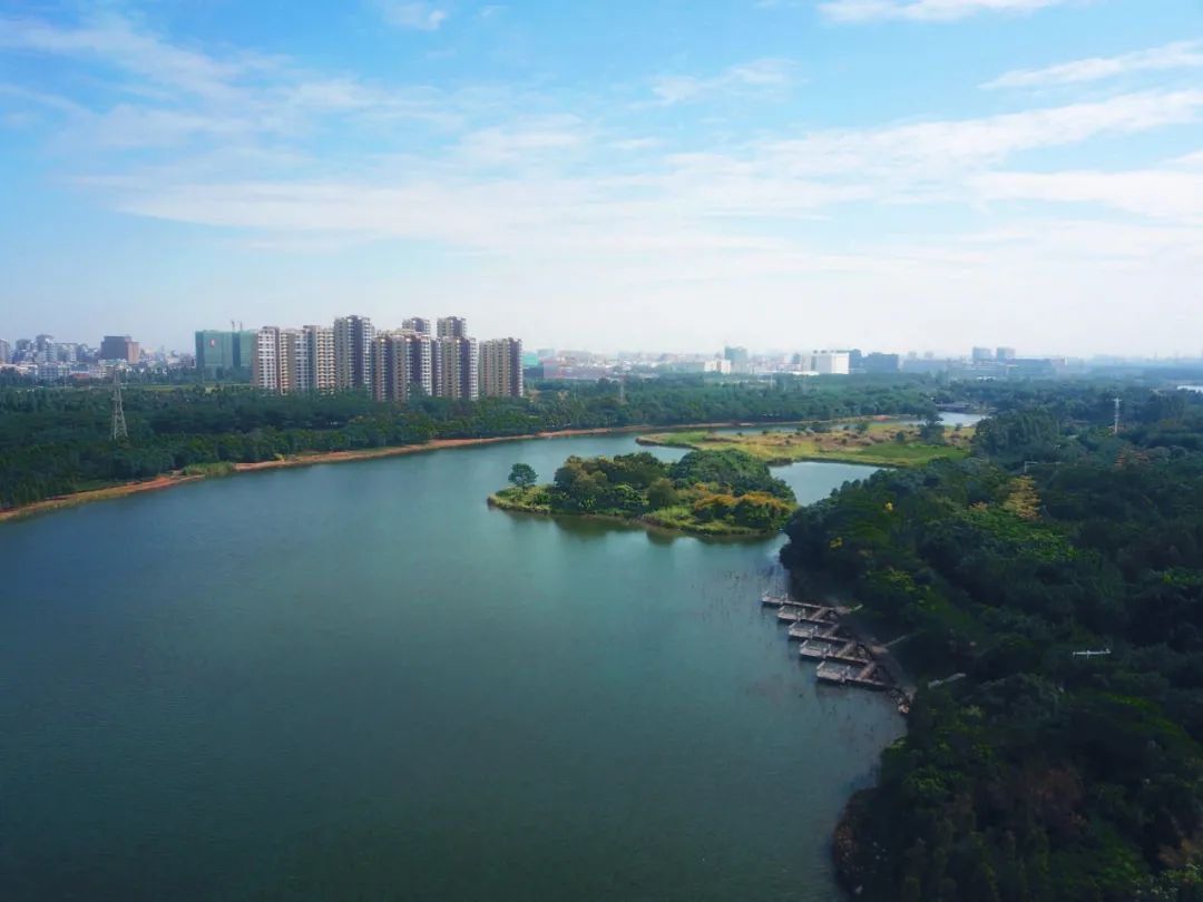 东莞生态园中心区城市设计