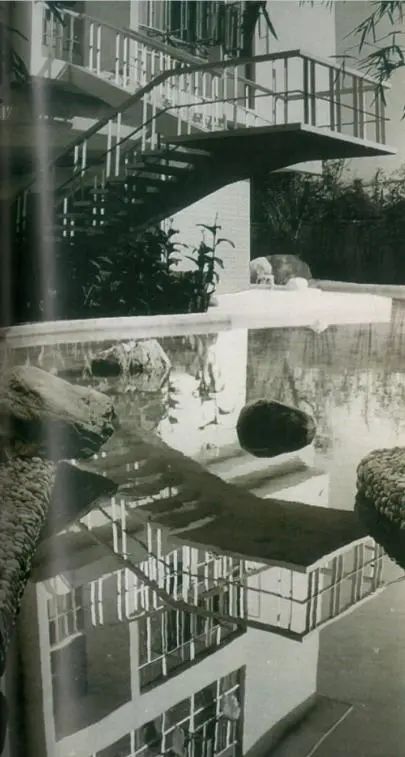 致敬 · 传承——岭南经典园林建筑“中山温泉中心园”改建工程｜作品