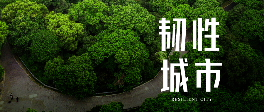 韧性城市|精细化测绘助力城市内涝风险评估——以广州番禺为例 韧性城市|精细化测绘助力城市内涝风险评估——以广州番禺为例