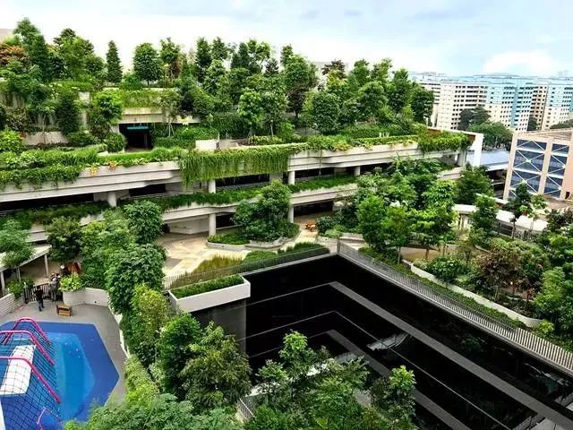新加坡最美经典绿色建筑