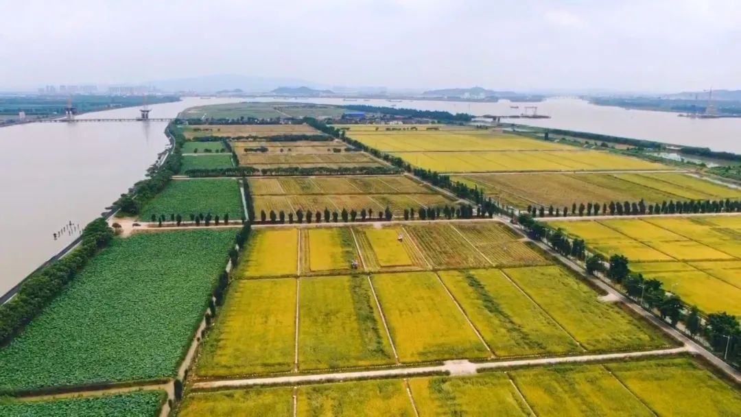 首批自然资源节约集约示范县（市）巡礼 | 广东省江门市新会区：统筹要素保障和资源保护 助推新会高质量发展