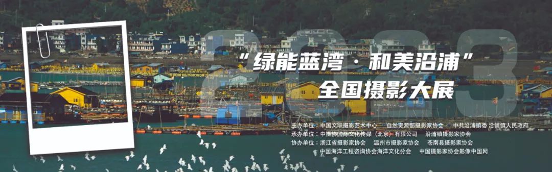 来沿浦吧，乘着海风感受生态之美~