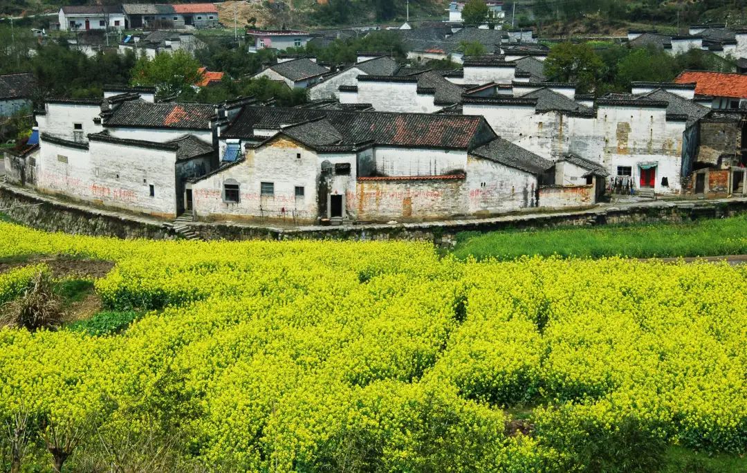 安徽:江淮大地的知与行 | 全国生态日特别策划 安徽:江淮大地的知与行 | 全国生态日特别策划