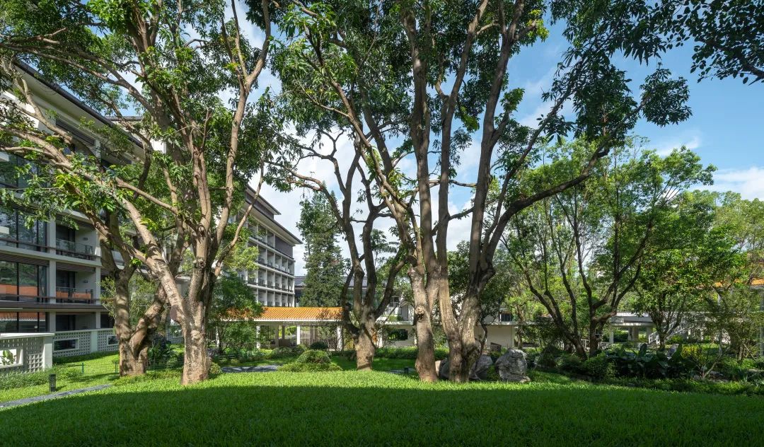 致敬 · 传承——岭南经典园林建筑“中山温泉中心园”改建工程｜作品