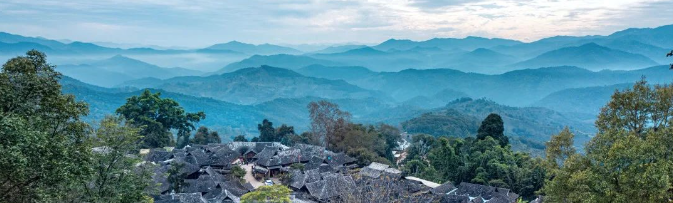 清华同衡参与支持的“普洱景迈山古茶林文化景观”成功列入《世界遗产名录》