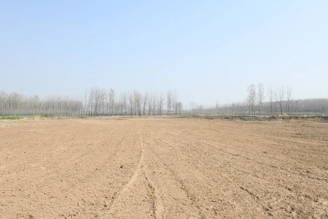 最高检发布10件耕地保护检察公益诉讼典型案例 最高检发布10件耕地保护检察公益诉讼典型案例