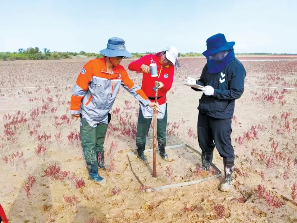 走进黄河下游湿地滩区看生态地质调查