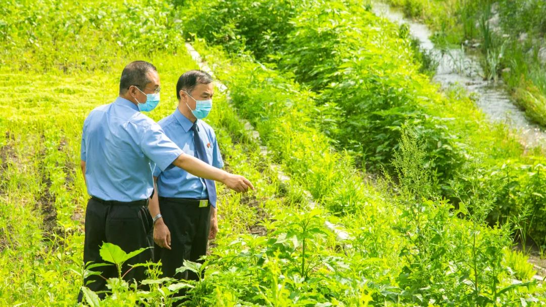 最高检发布10件耕地保护检察公益诉讼典型案例 最高检发布10件耕地保护检察公益诉讼典型案例