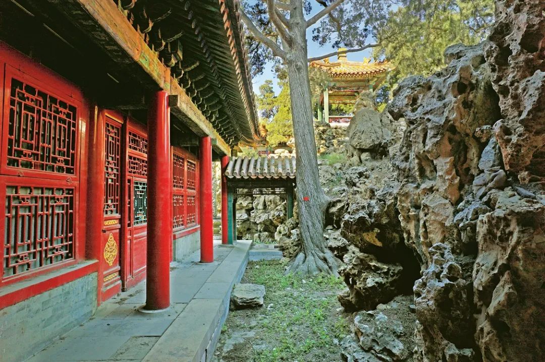 美苑英华丨感知历史 成就未来：故宫宁寿宫花园保护实习项目回顾