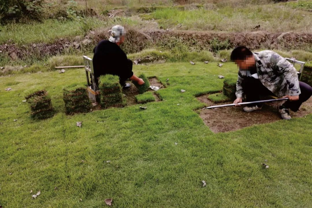 最高检发布10件耕地保护检察公益诉讼典型案例