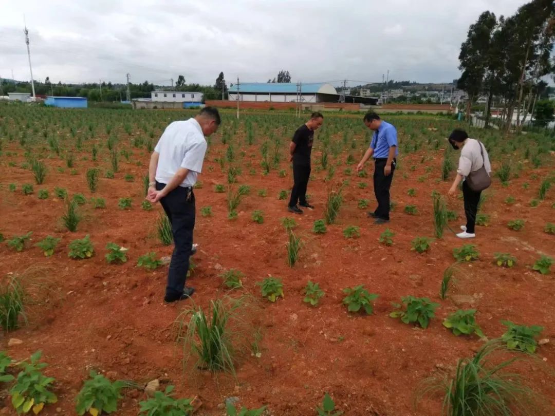 最高检发布10件耕地保护检察公益诉讼典型案例 最高检发布10件耕地保护检察公益诉讼典型案例