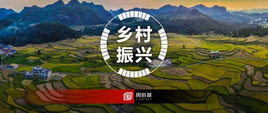 一图读懂:《南京市乡村振兴用地政策指南》(2023年版)规划、用地、项目层面政策问答 一图读懂:《南京市乡村振兴用地政策指南》(2023年版)规划、用地、项目层面政策问答