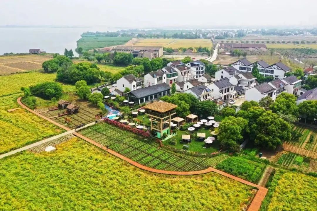 郑德高:长三角示范区跨界协同的空间治理逻辑 郑德高:长三角示范区跨界协同的空间治理逻辑