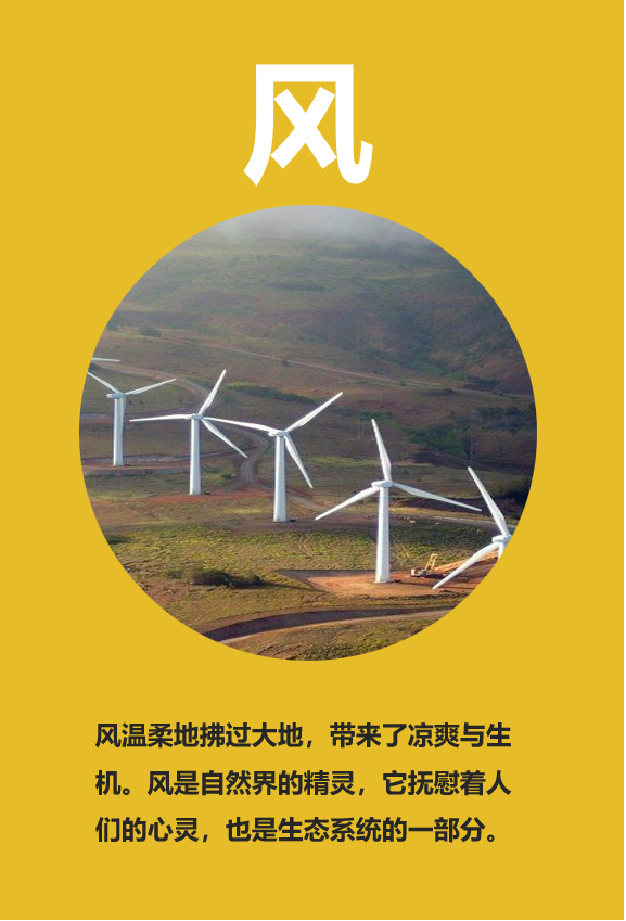 【城市空间艺术季】“花满地、草连天、水云间”·遇见云间2023空间艺术季松江新城五龙湖休闲公园展区即将开幕