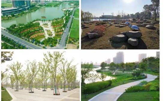 【城市空间艺术季】“花满地、草连天、水云间”·遇见云间2023空间艺术季松江新城五龙湖休闲公园展区即将开幕