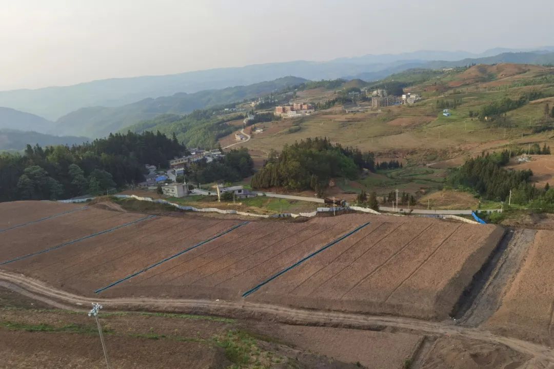 最高检发布10件耕地保护检察公益诉讼典型案例